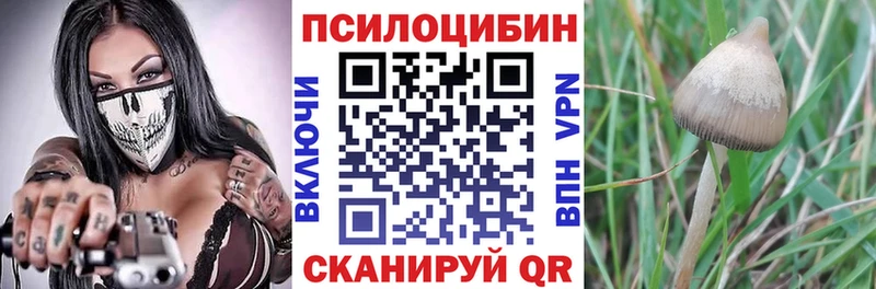 Галлюциногенные грибы мухоморы  наркота  Серпухов 