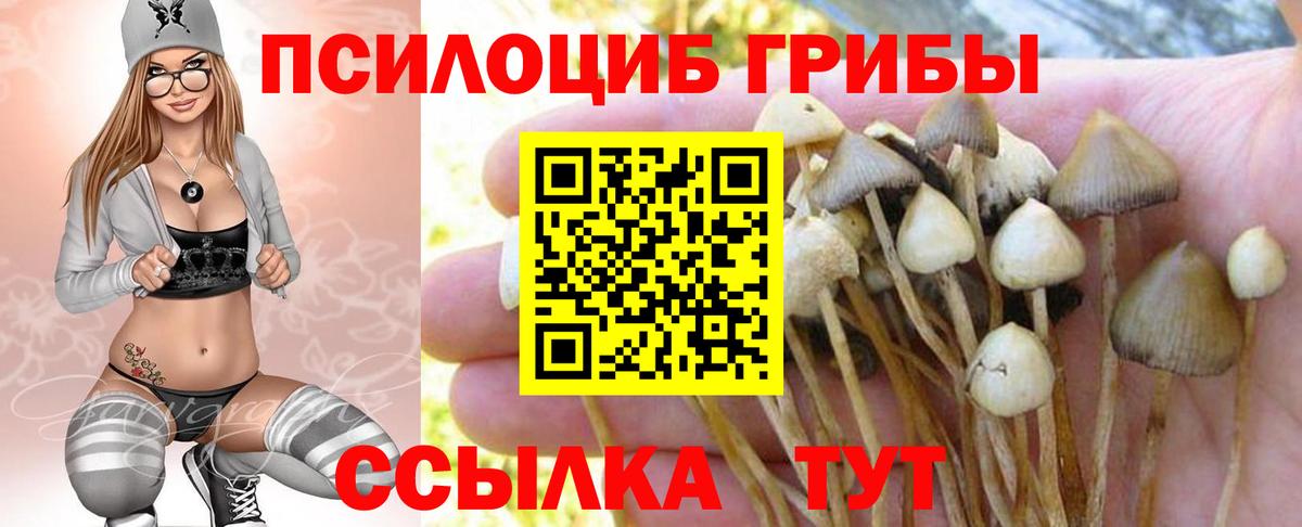 Псилоцибиновые грибы мицелий  Вход с VPN  Серпухов  Галлюциногенные грибы Psilocybe 
